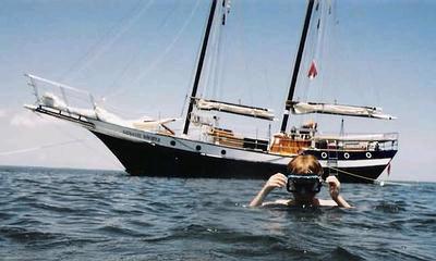 snorkeling,sail charters